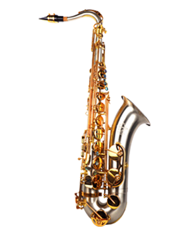 TW-B900 次中音白銅